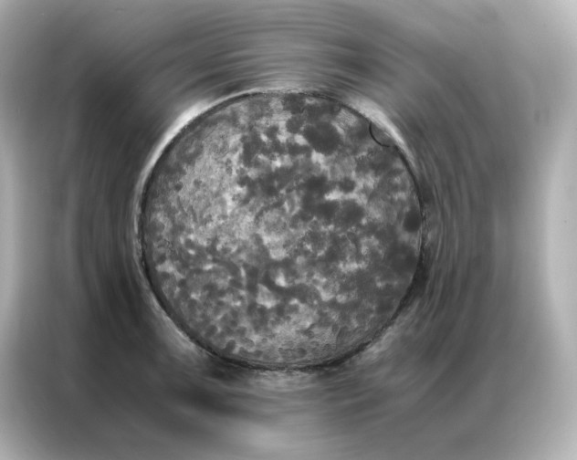 X0000086921091200704301052