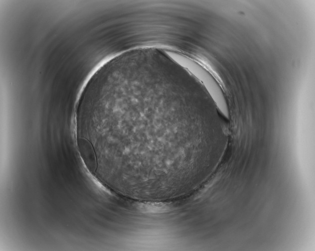X0000086921092200704301052