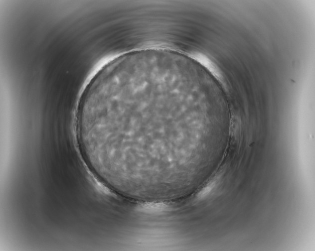 X0000086921094200704301052