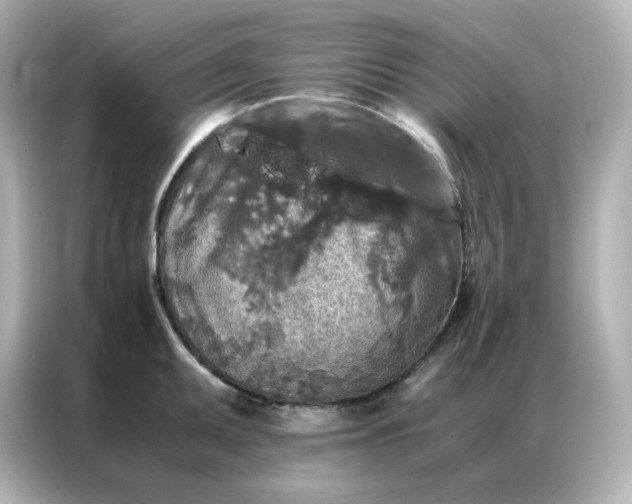 X0000086921095200704301052