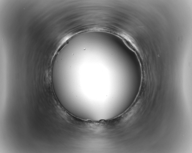 X0000086921097200704301052
