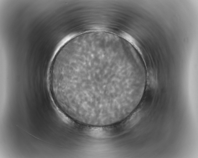 X0000086921098200704301052