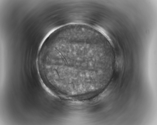 X0000086921100200704301052