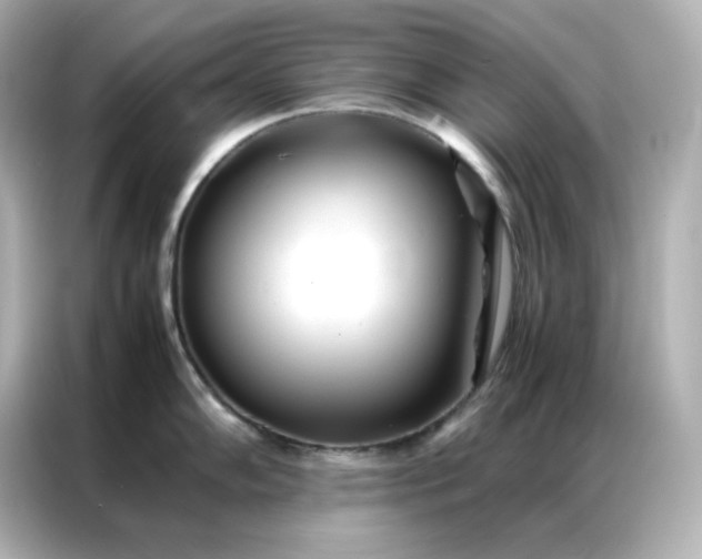 X0000086921102200704301052