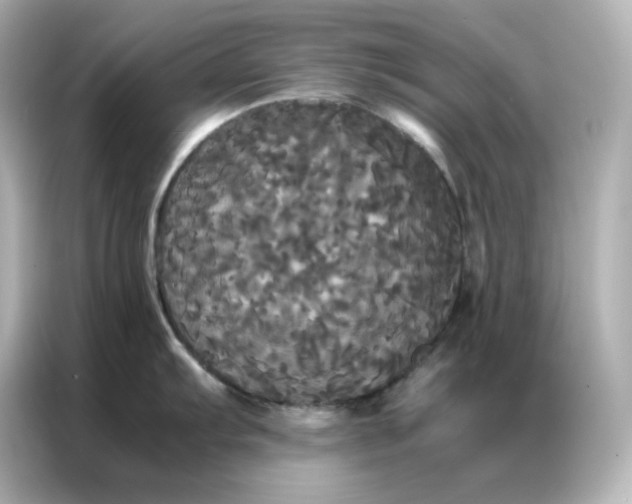 X0000086921103200704301052