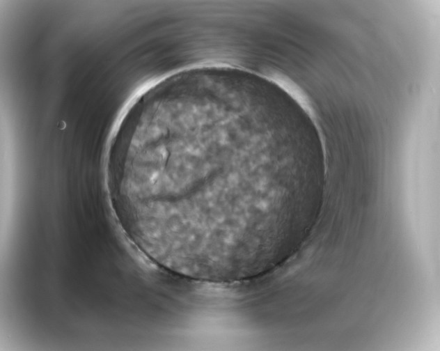 X0000086921104200704301052