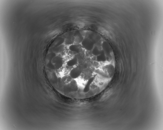 X0000086921105200704301051