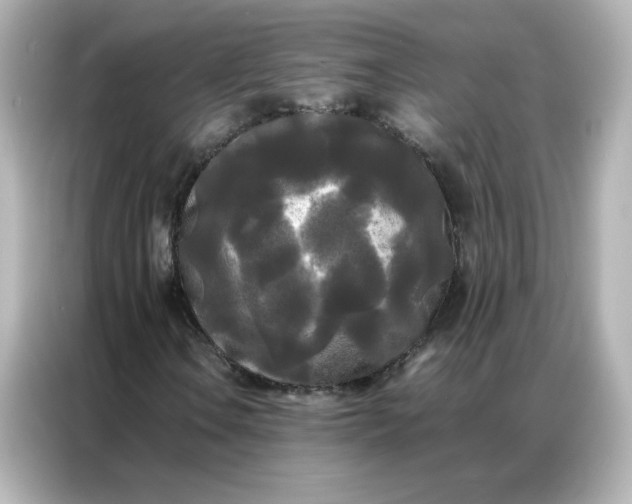 X0000086921106200704301051
