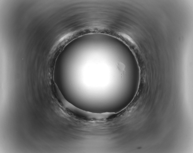 X0000086921112200704301051