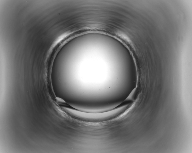 X0000086921114200704301051