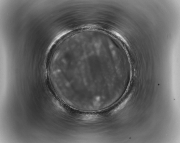 X0000086921117200704301051