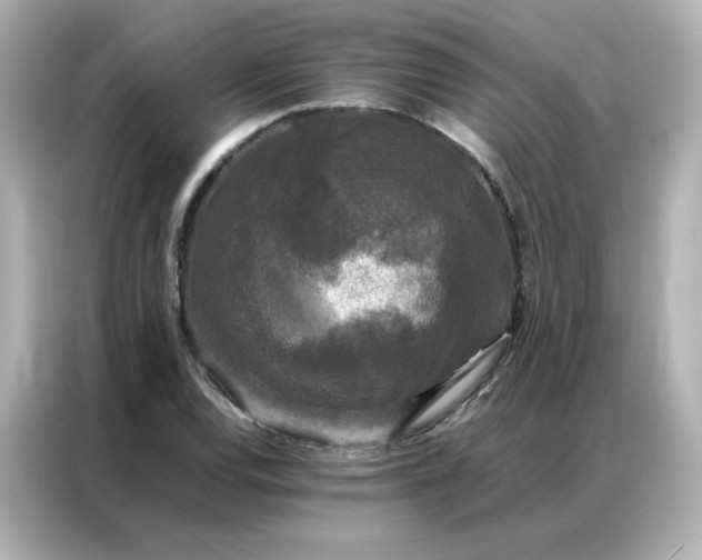 X0000086921120200704301052