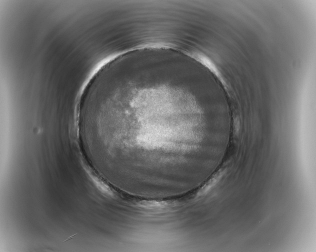 X0000086921124200704301052