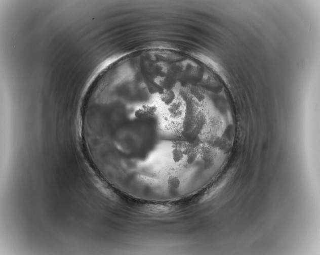 X0000086921125200704301052