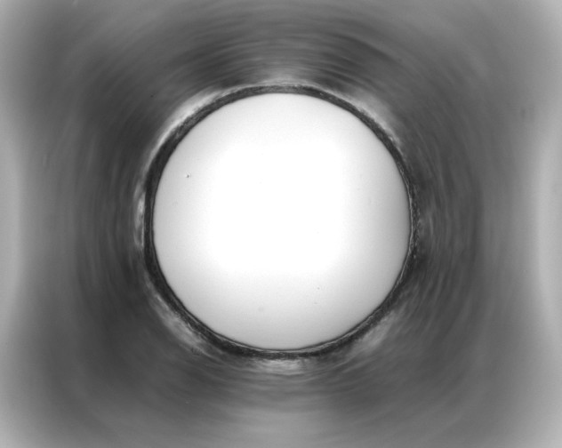 X0000086921126200704301052