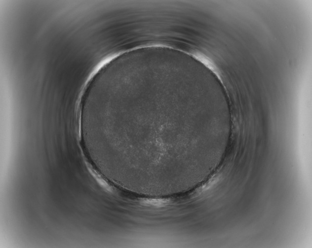 X0000086921127200704301052