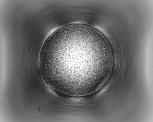 X0000086921129200704301052