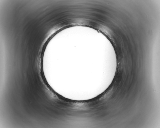 X0000086921130200704301052