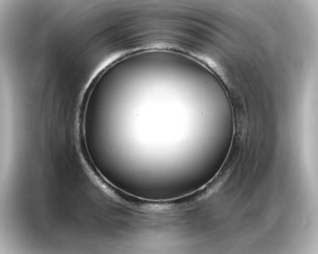 X0000086921134200704301052
