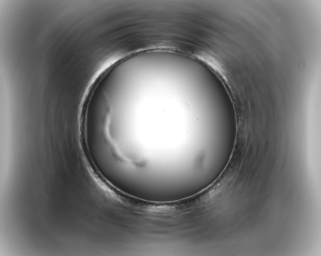 X0000086921135200704301052