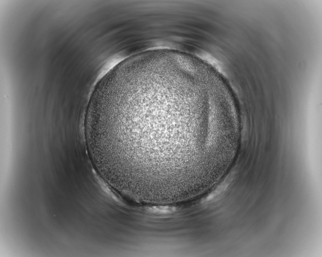 X0000086921137200704301052