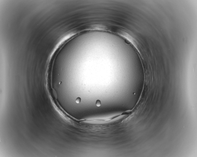 X0000086921139200704301052