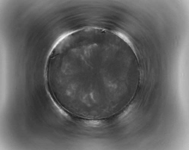X0000086921141200704301052
