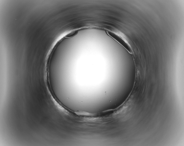 X0000086921143200704301052