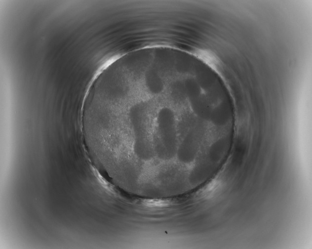 X0000086921145200704301052
