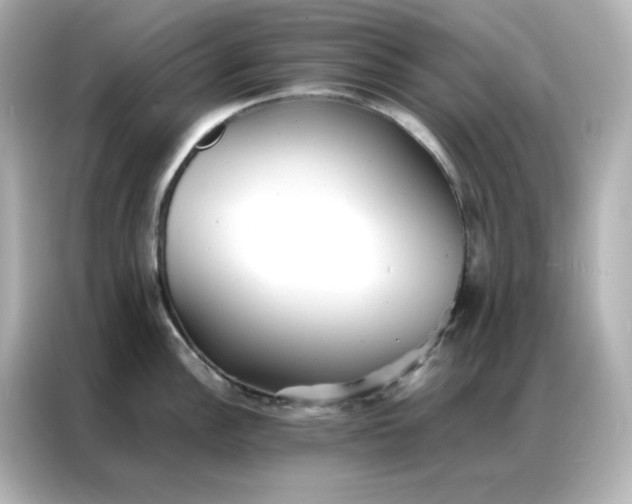 X0000086921148200704301052