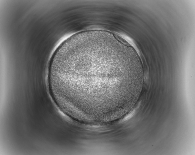 X0000086921149200704301052
