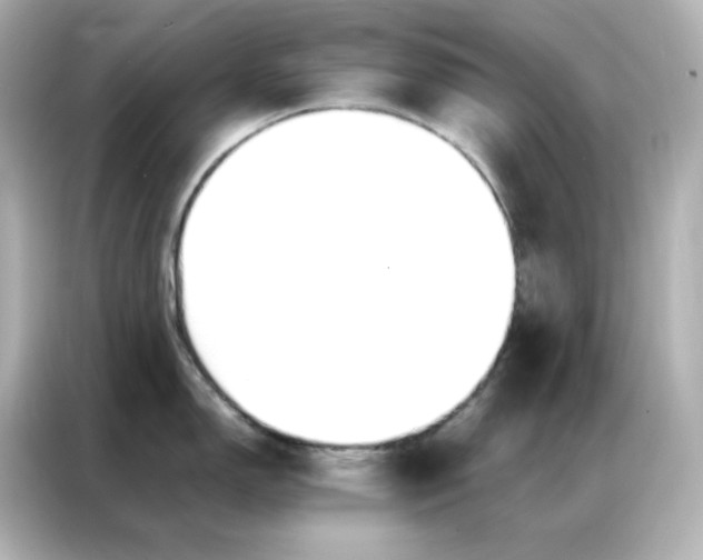 X0000086921150200704301052