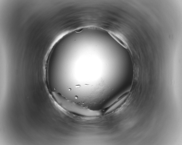 X0000086921151200704301052