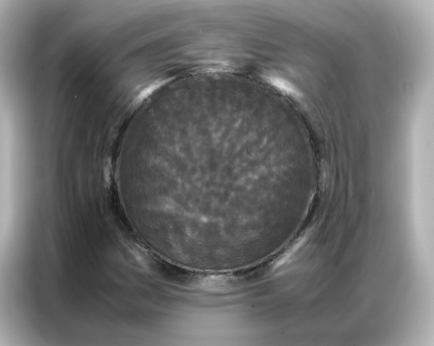 X0000086921161200704301051