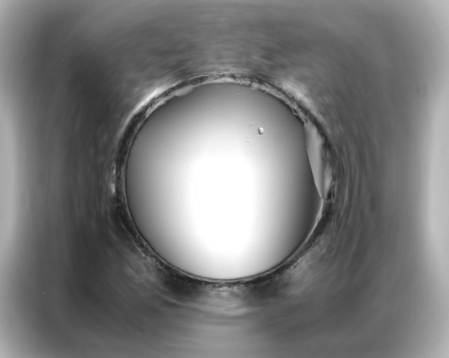 X0000086921165200704301051