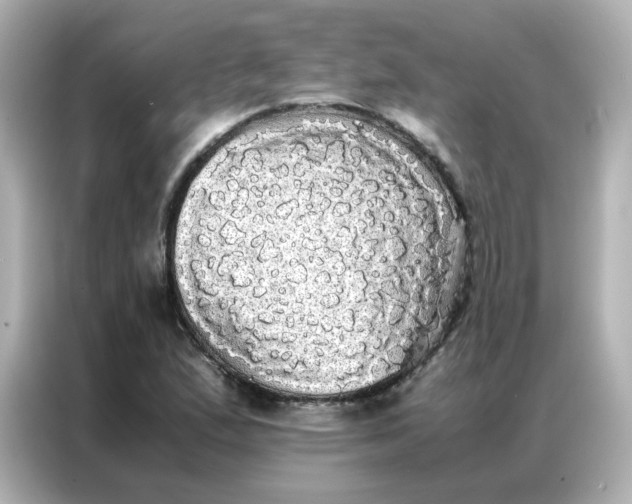 X0000086921167200704301051