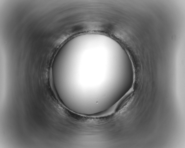 X0000086921169200704301051