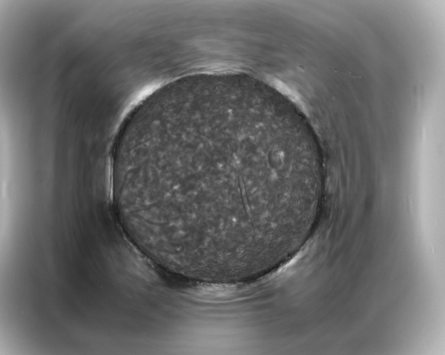 X0000086921171200704301051