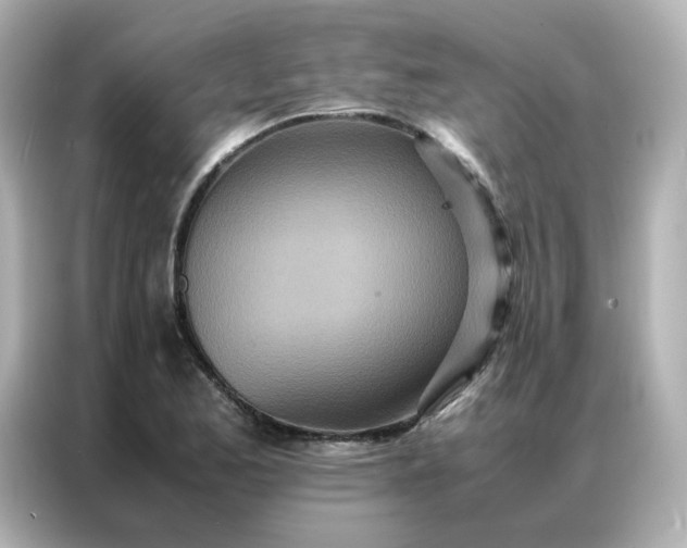 X0000086921173200704301051