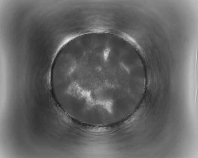 X0000086921174200704301051