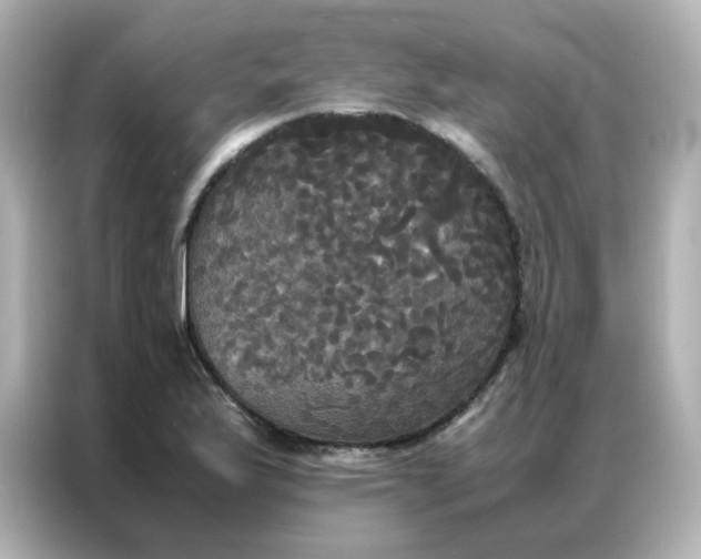 X0000086921175200704301051