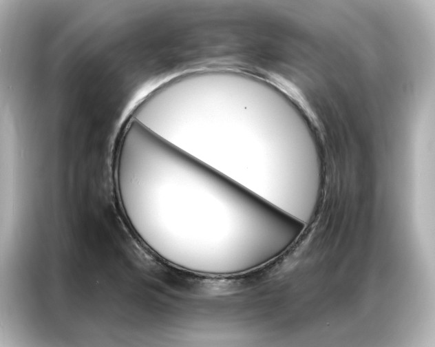 X0000086921176200704301051