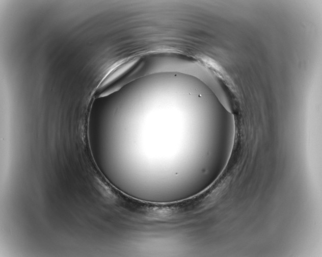 X0000086921177200704301051