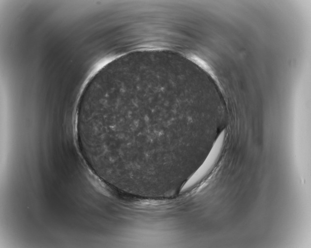 X0000086921179200704301051