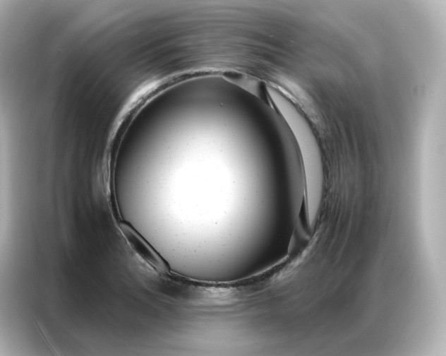 X0000086921180200704301051