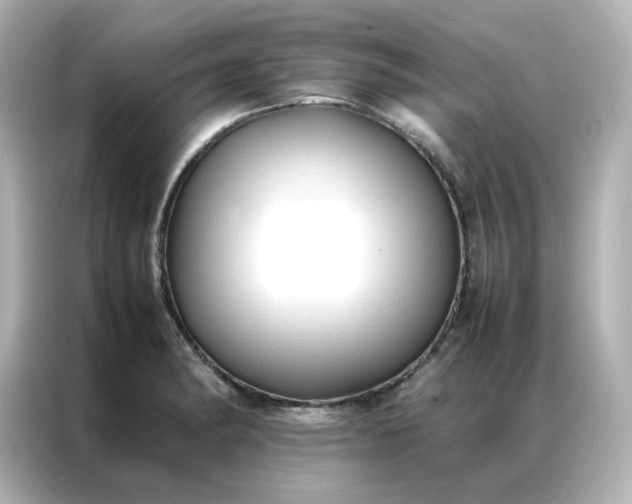 X0000086921182200704301051