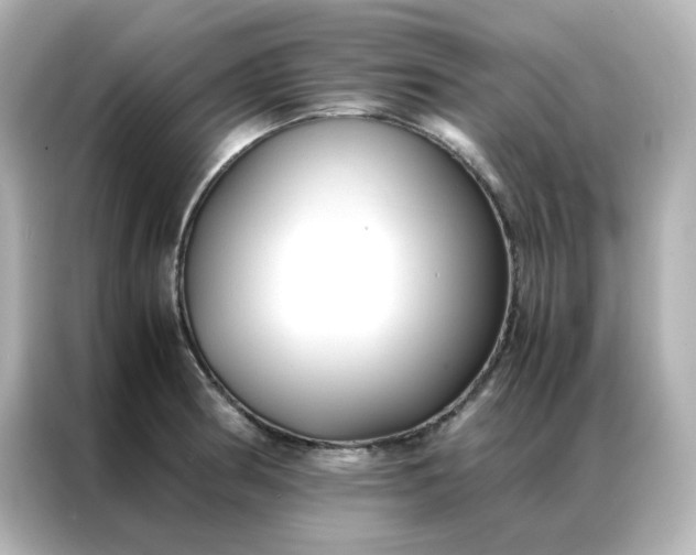 X0000086921186200704301051