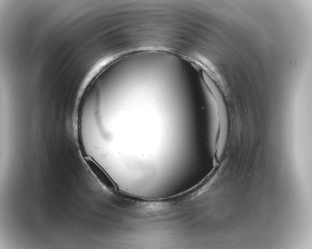 X0000086921188200704301051