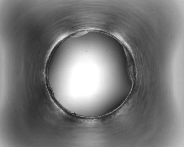 X0000086921189200704301051