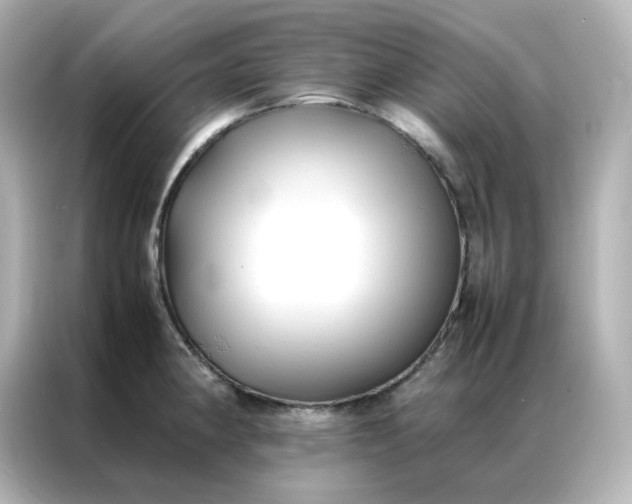 X0000086921190200704301051